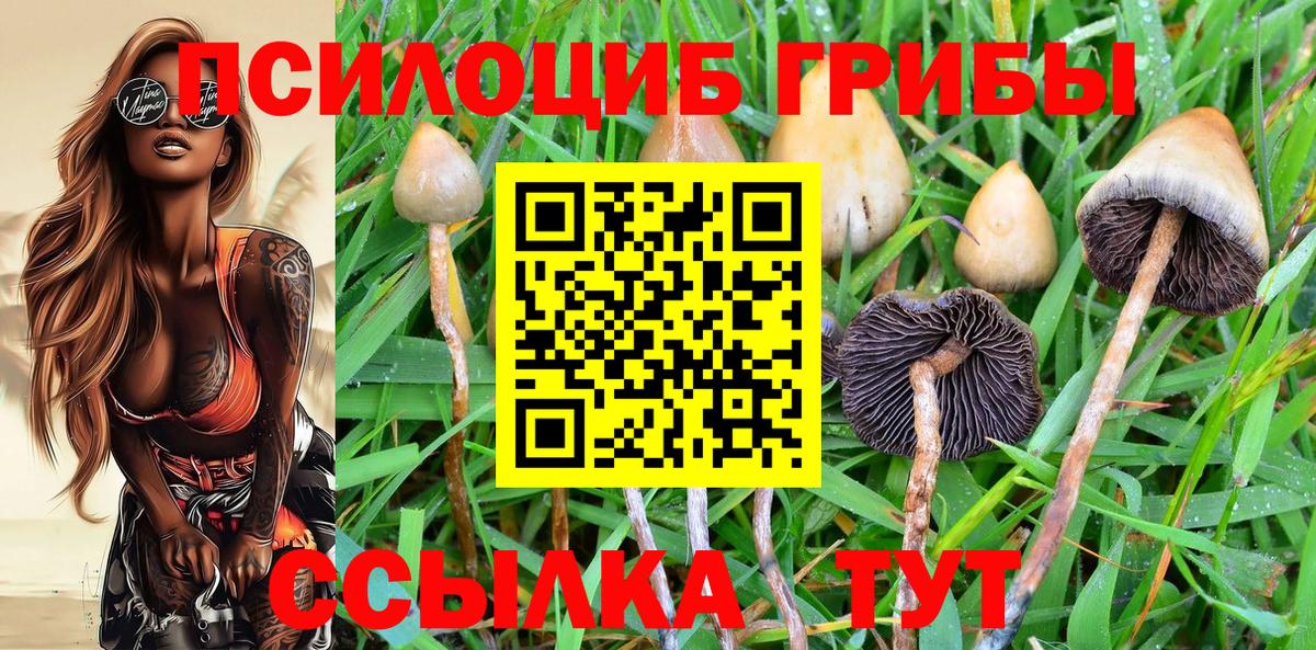 Озёры  Галлюциногенные грибы прущие грибы  Вход с VPN 